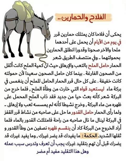 FB_IMG_1550600396788
