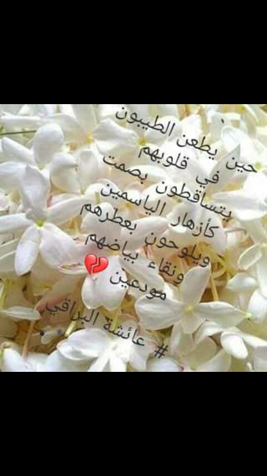Screenshot_٢٠١٩-٠٦-١٧-٢٣-١٠-٠٧