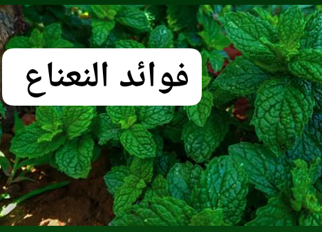 Screenshot_٢٠٢٠-٠١-١٢-٠٩-٢٣-٠١-1