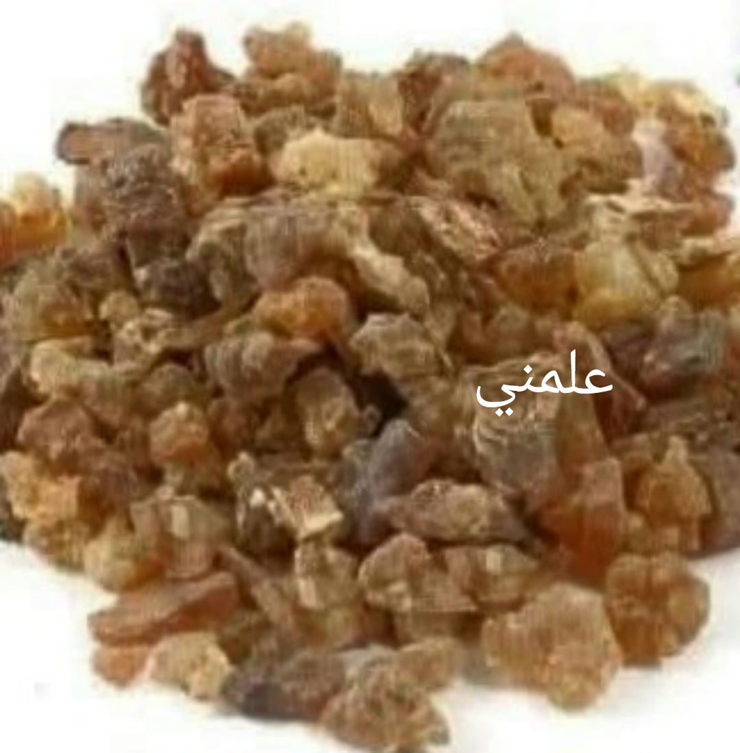 Polish_٢٠٢٥٠٥١١_١١١٥٥٨٢٣٦