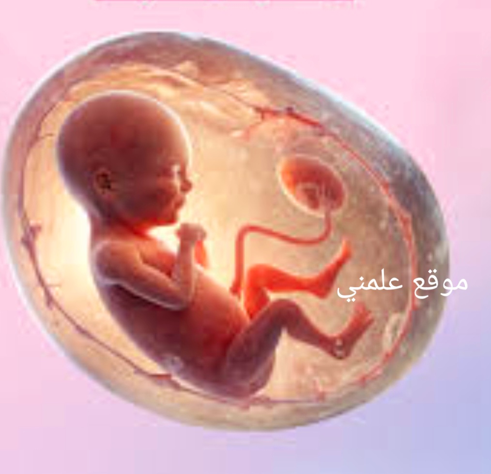 Screenshot_٢٠٢٥٠٥١٠_٢١٤٤٥٤_Chrome