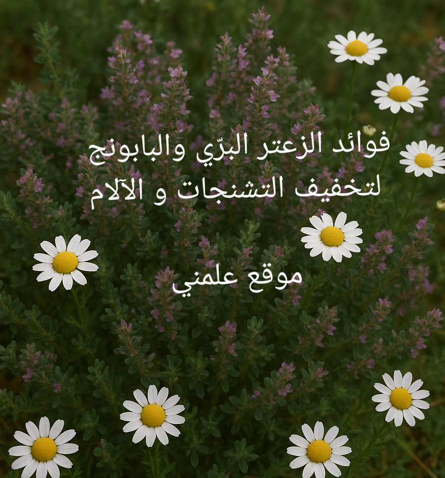 file_00000000240c6243bd9d6ca2a820c960
