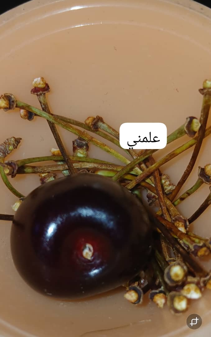 IMG-20250708-WA0000