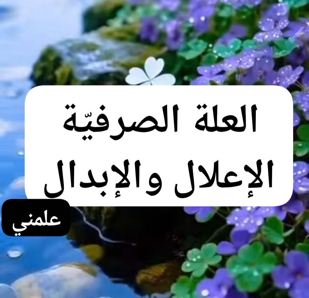 Screenshot_٢٠٢٥٠٧١١_١٥٠٦١٤_WhatsApp