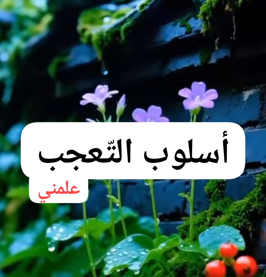 Screenshot_٢٠٢٥٠٧١١_١٥٥٩٣٠_WhatsApp