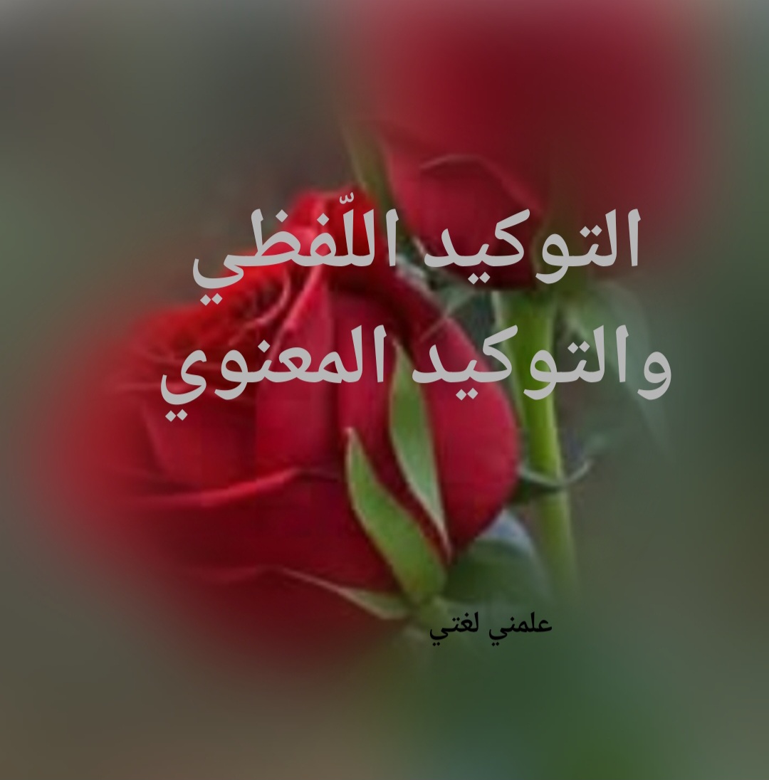 Screenshot_٢٠٢٥١١١٠_١١٣٢٣٩_WhatsApp