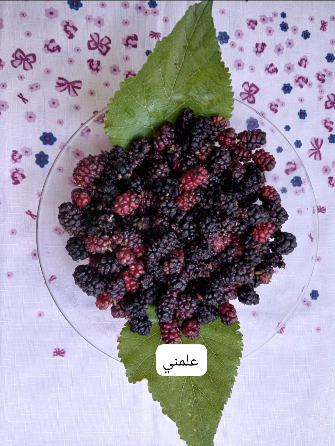 Polish_٢٠٢٥١٢٢٧_٢١٥٠٥٠٠٢٨