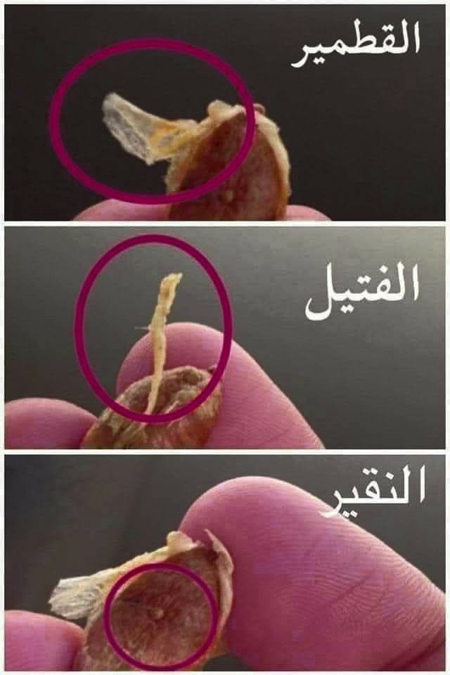 FB_IMG_1772036408007