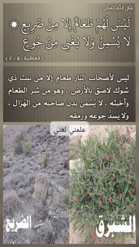 FB_IMG_1776968541328