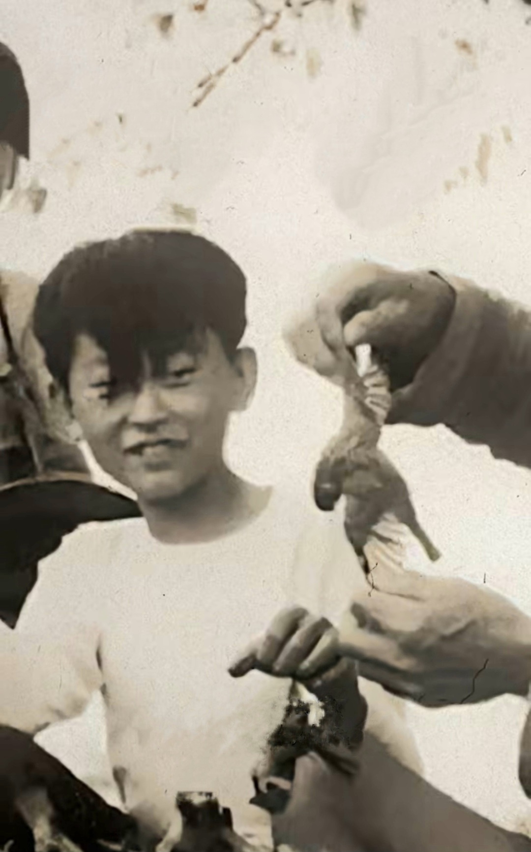 Polish_20260404_192038564