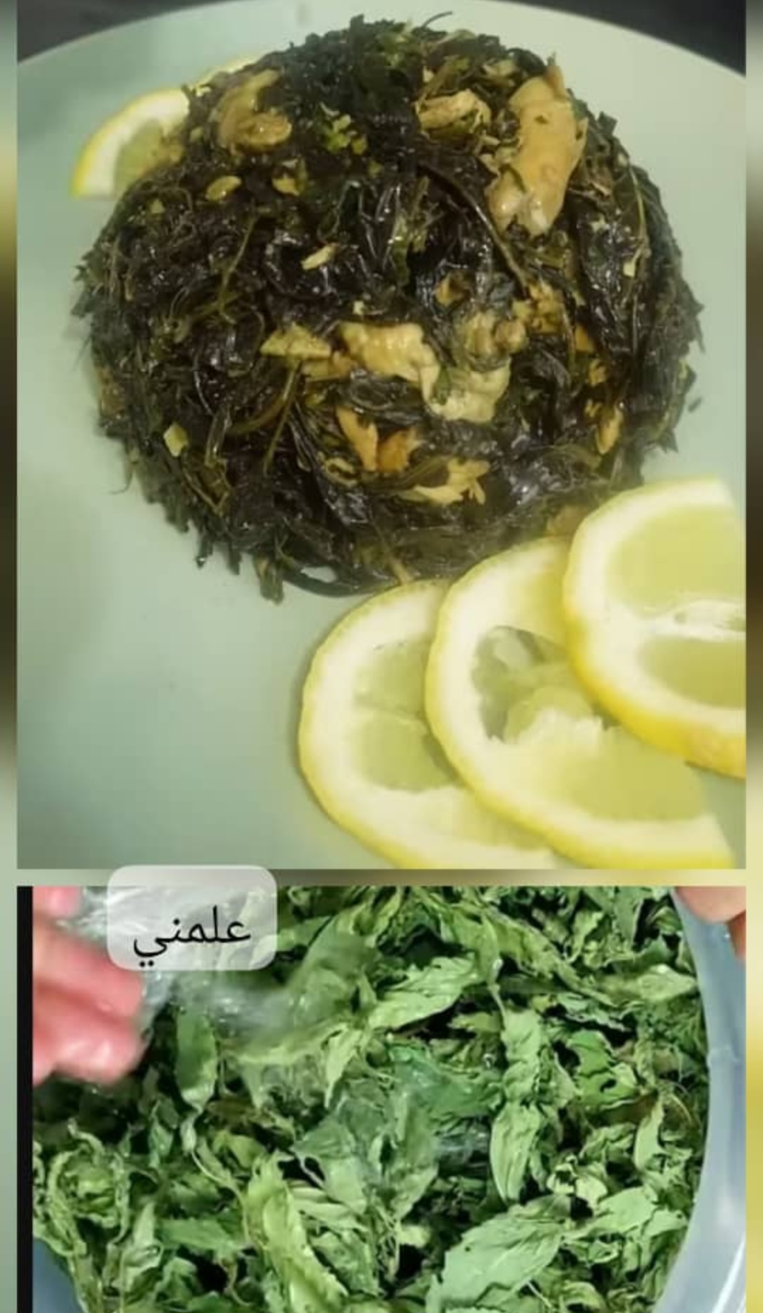 Screenshot_٢٠٢٦٠٤١٠_٢٢٠٦٠١_WhatsApp