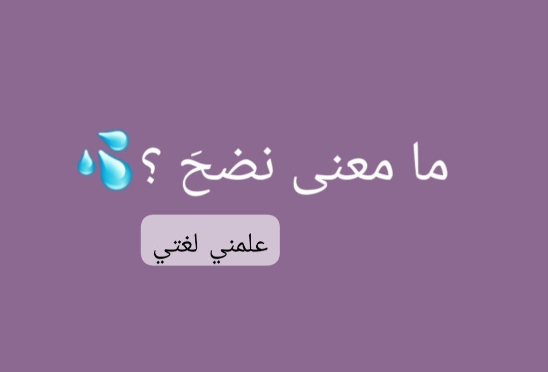 Screenshot_٢٠٢٦٠٤١١_١٨٢١٤٦_Gallery