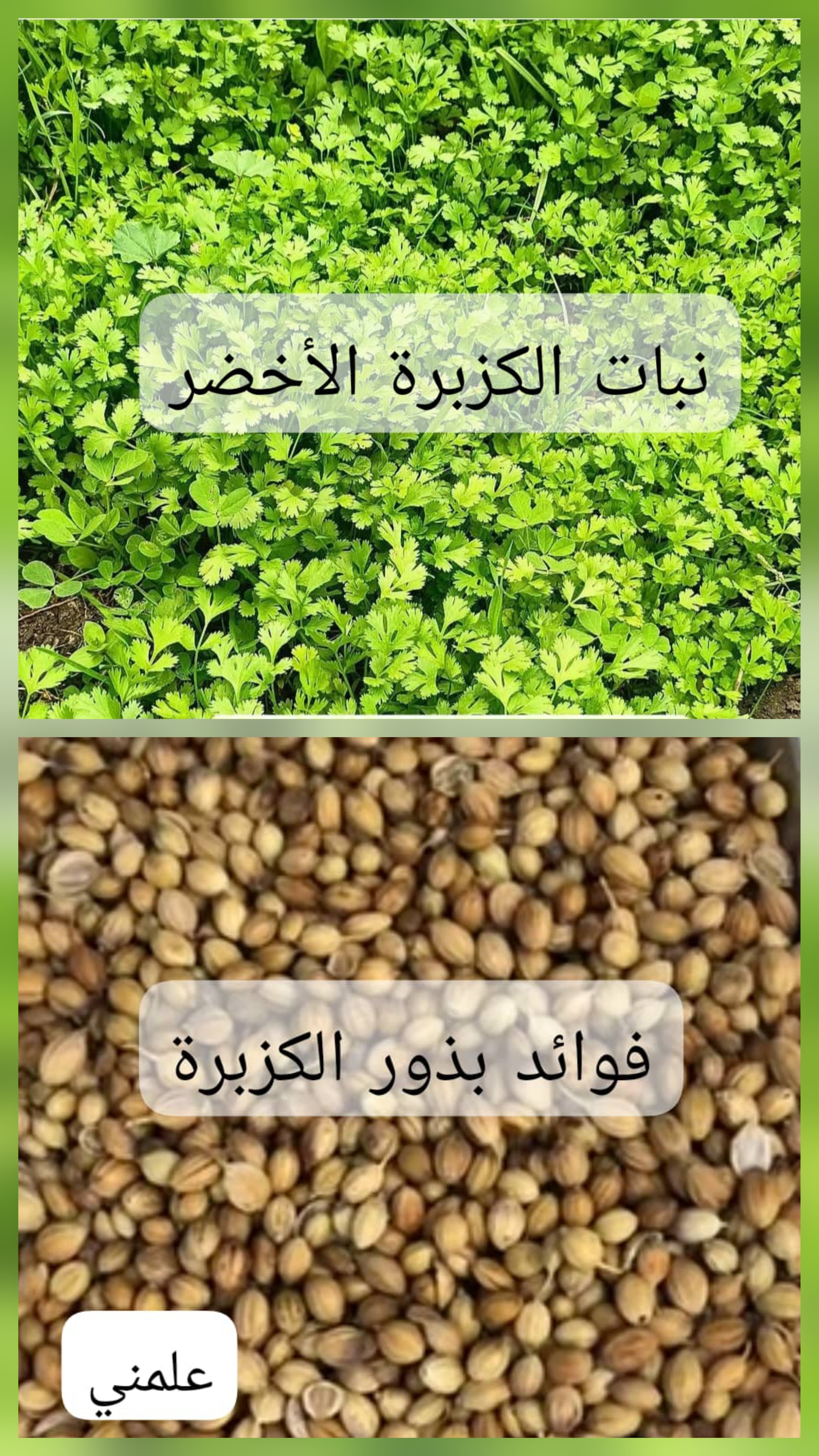 ٢٠٢٦٠٤٠٣_١٣٣١٢٤