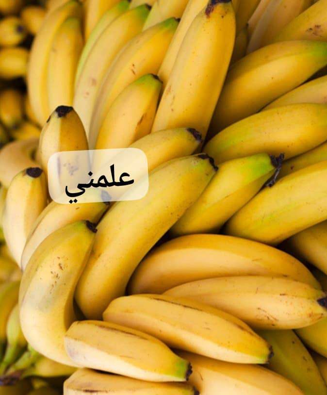 IMG-20260502-WA0008