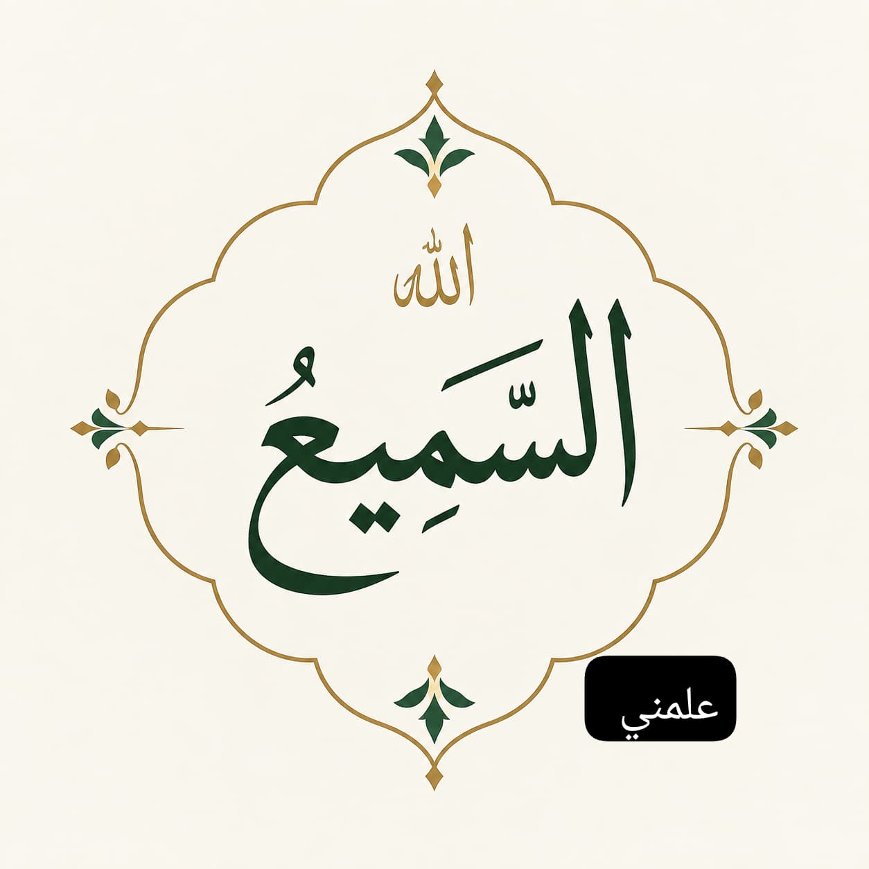 WA_1788855694710